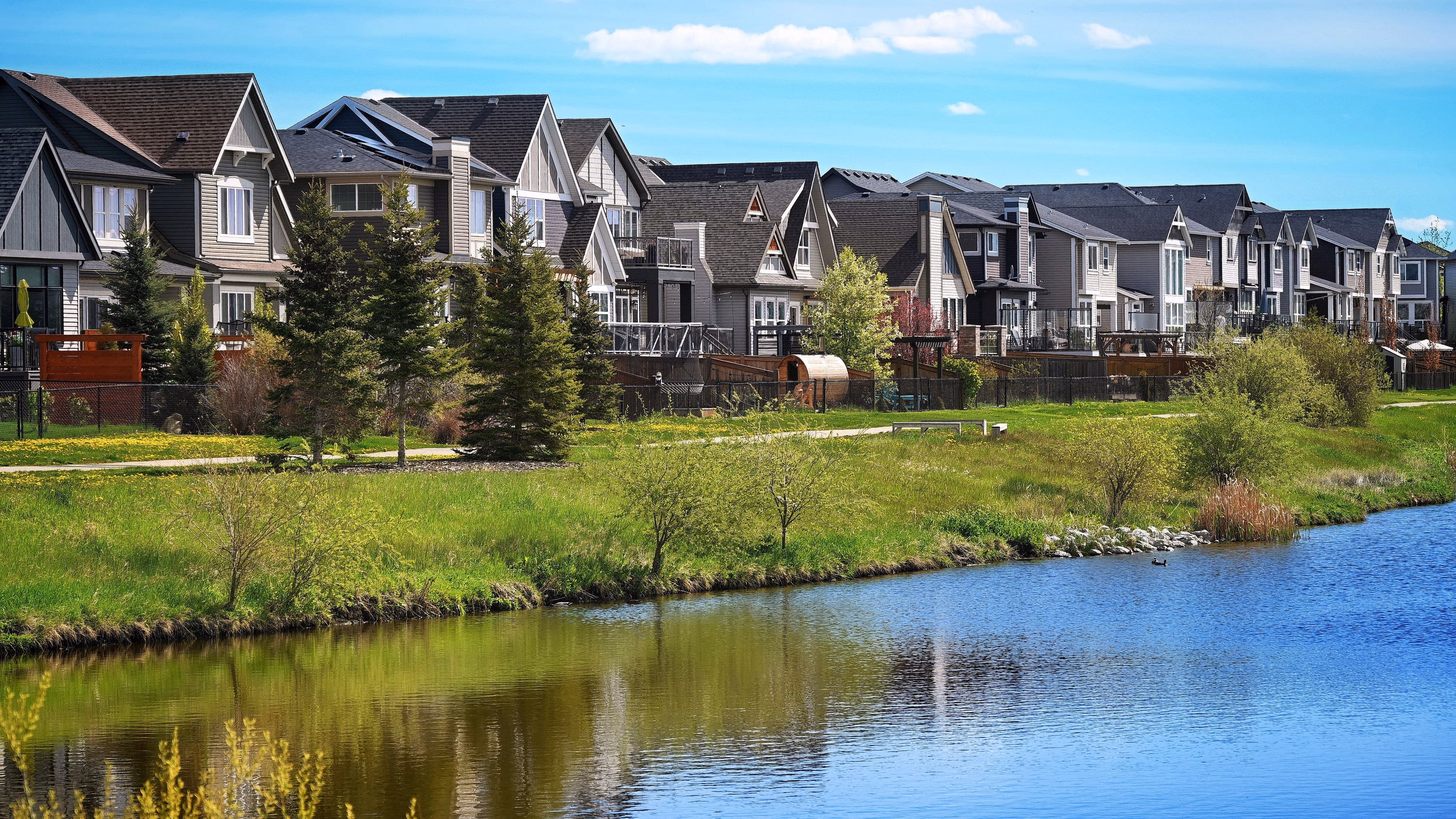 A row of modern two-storey homes along a grassy pond in Airdrie, Alberta
