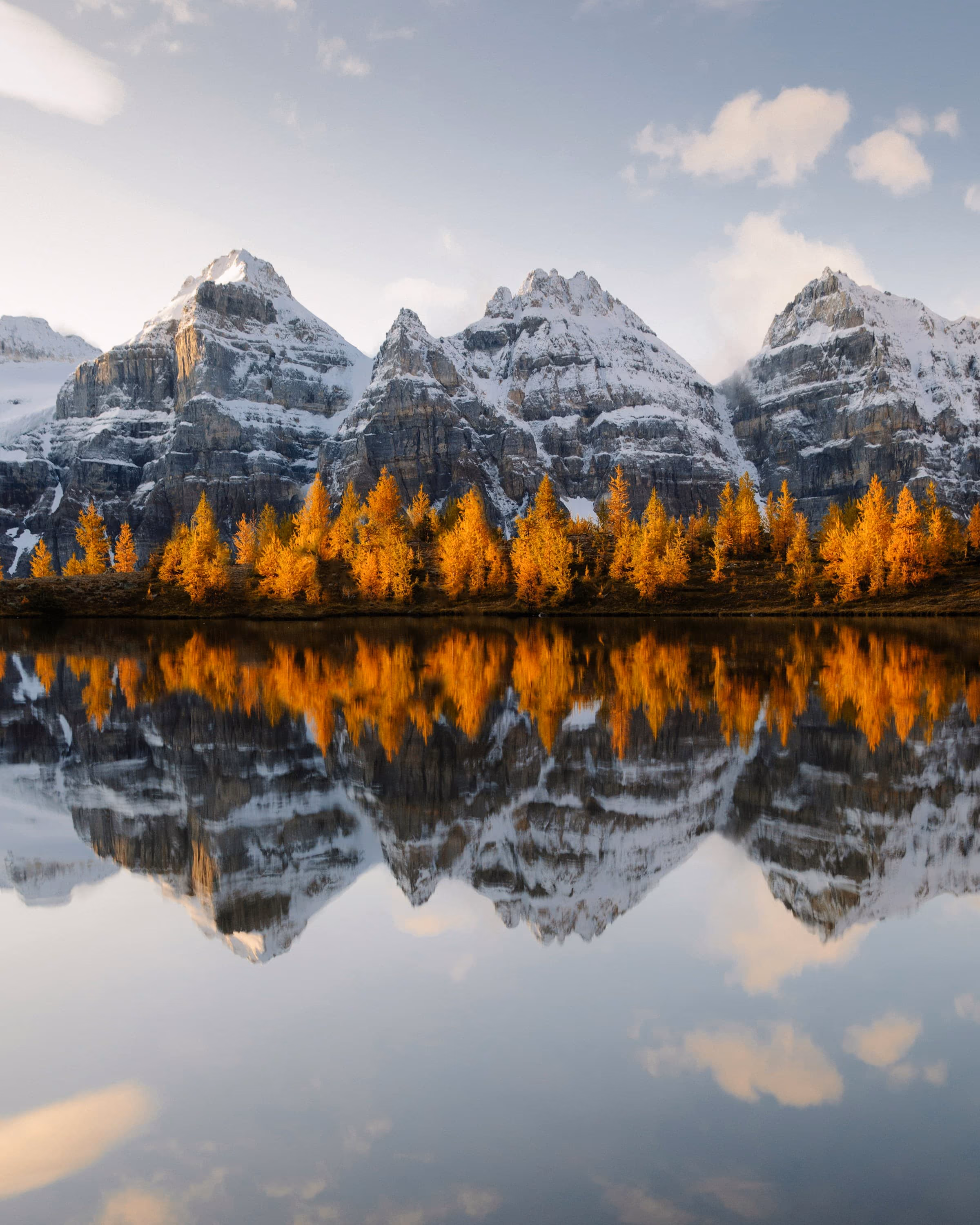 Larch season in Banff National Park, Alberta — BitForward serves businesses across Western Canada