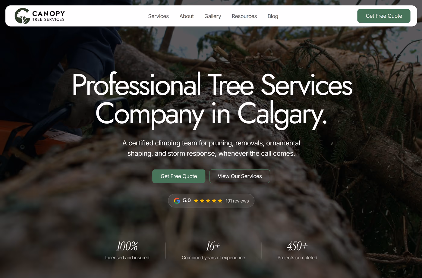 Canopy Tree Services homepage hero section