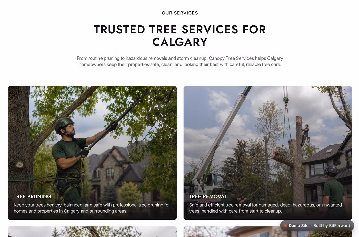 Canopy Tree Services service overview cards