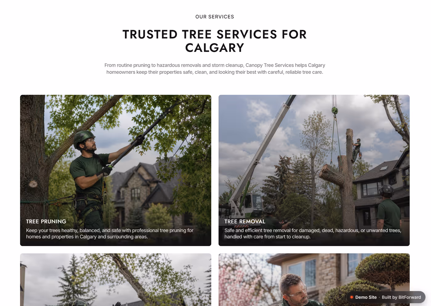 Canopy Tree Services service overview cards